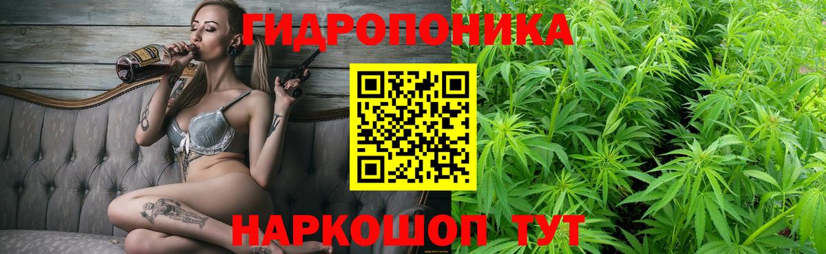 Бошки марихуана план Кимры